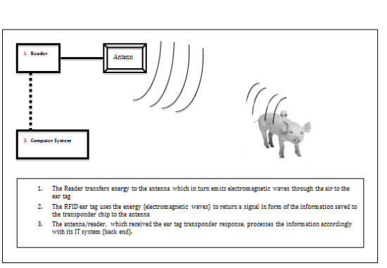 RFID Animal Tracking(图1)